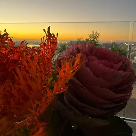 La Terrazza Sul Porto Couette-café